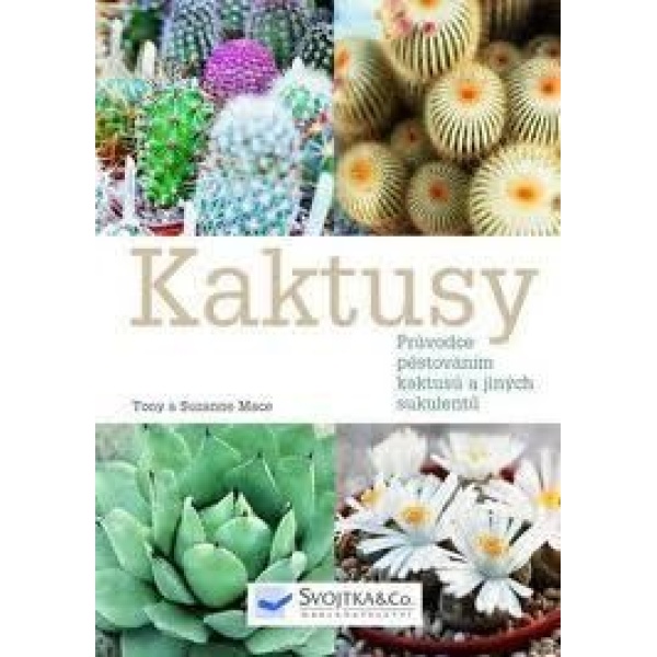 Kaktusy - Suzanne Mace,