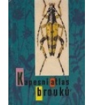 Kapesní atlas brouků – Vladimír Javorek