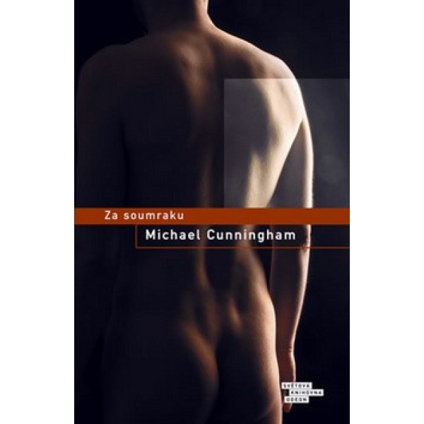 Za soumraku - Michael Cunningham