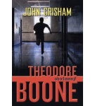 Theodore Boone: Obvinený – John Grisham
