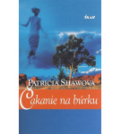 Čakanie na búrku – Patricia Shaw