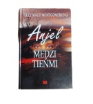 Anjel medzi tieňmi – Lucy Maud Montgomery