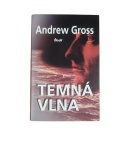 Temná vlna – Andrew Gross