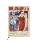 Melantrichova 13 – Jiří Zeman