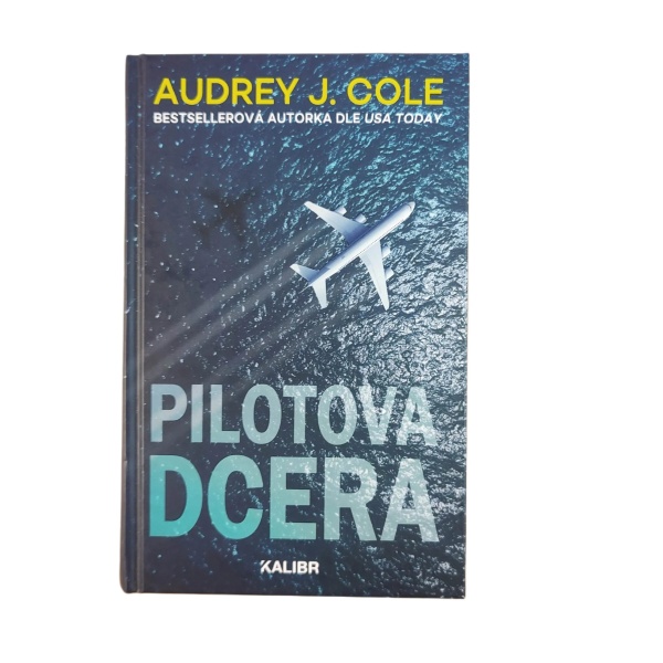 Pilotova dcera - Audrey J. Cole