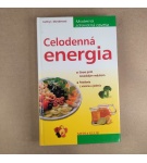 Celodenná energia – Kathryn Marsdenová