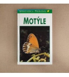 Motýle – Neznámy