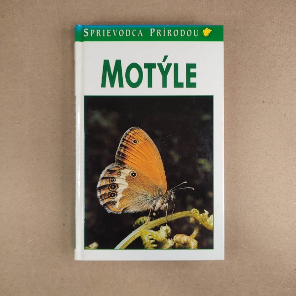 Motýle - Neznámy