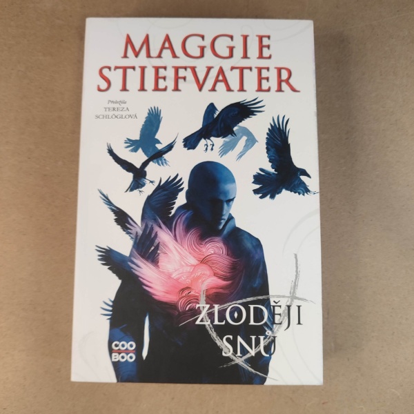 Zloději snu - Maggie Stiefvater