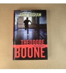 Theodore Boone – Obviněný – John Grisham