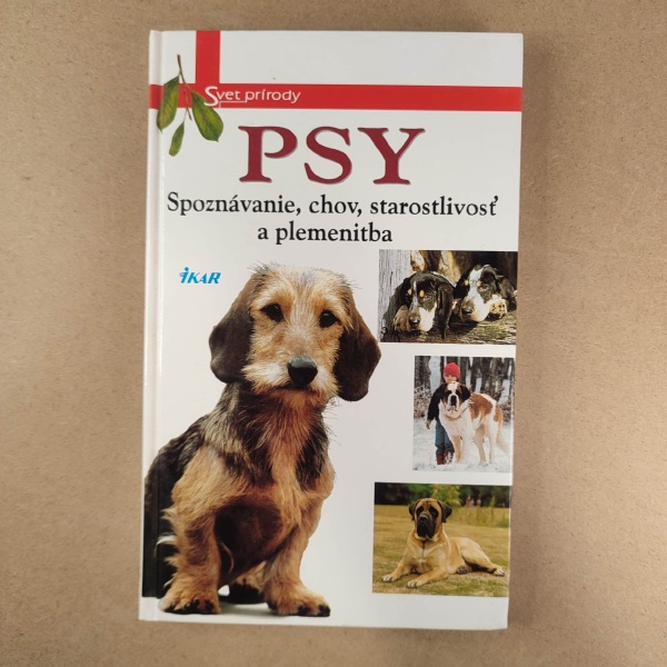 Psy - Kolektív