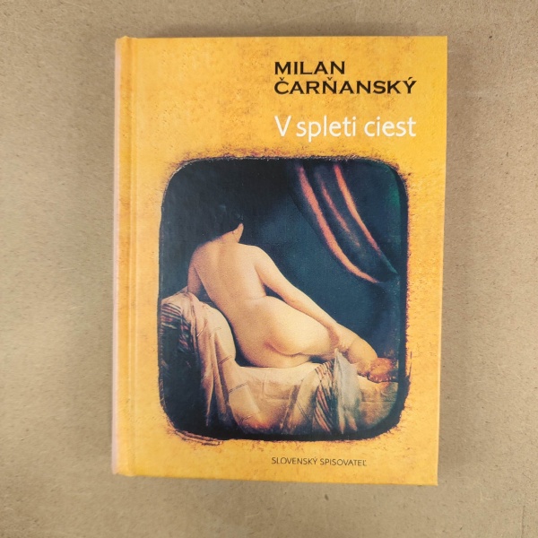 V spleti ciest - Milan Čarňanský