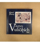 V slepých uličkách – Kamil Peteraj