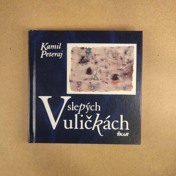 V slepých uličkách - Kamil Peteraj